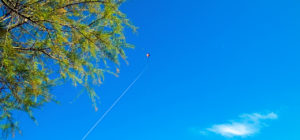 Clean Monday kite